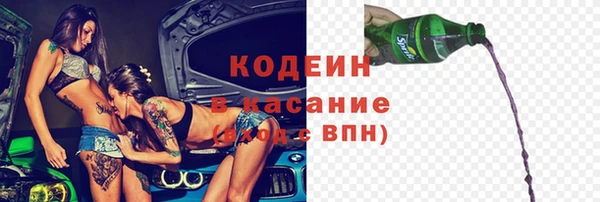 мдпв Инсар
