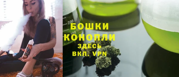 мдпв Инсар