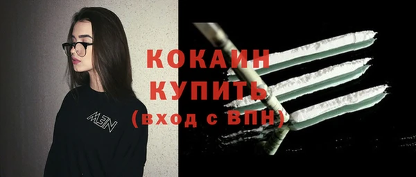 мдпв Инсар