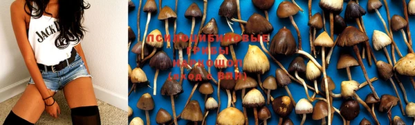 MDMA Зерноград