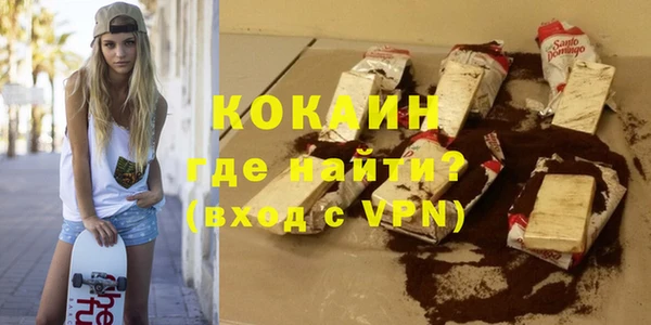 мдпв Инсар