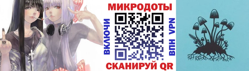 купить закладку  Новый Уренгой  Галлюциногенные грибы Cubensis 